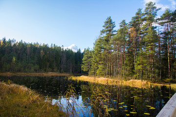 Haukkalampi pond view, Nuuksio National Park, Espoo, Finland