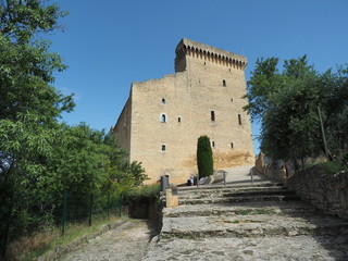 Châteauneuf-du-Pape – Ruine der ehemaligen päpstlichen Sommerresidenz    © hajo100