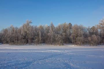 Winter landscape in clear weather. Frosty daylight at sunset