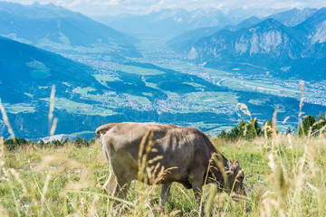 Patscherkofel peak near Innsbruck, Tyrol, Austria.