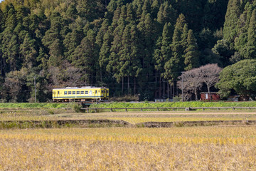 Local railway running Ohara in Isuimi-city, Chiba, Japan