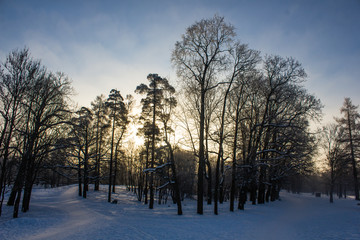 Winter landscape in clear weather. Frosty daylight at sunset