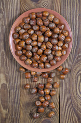 Hazelnuts in a plate and near are located on the table