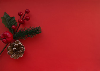  red berries and cones on a bright background
