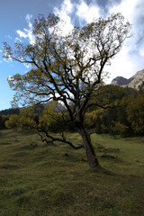 Ahornboden im Karwendel