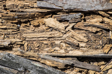 Madeira Texturas