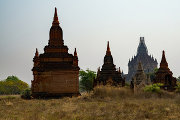 Fototapeta premium Bagan (Myanmar)