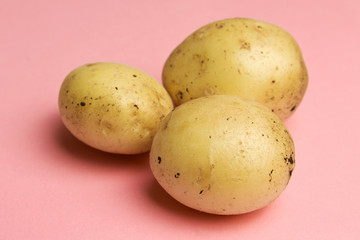 Fresh potatoes on pink background, pattern