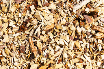 Large sawdust, background , wood texture