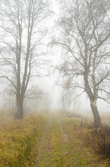 Fototapeta na wymiar Foggy morning in autumn .