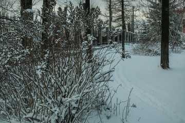 Winter park