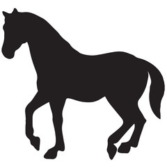 rearing up horse fine vector silhouette and outline - graceful black stallions