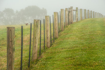 Foggy dawn in Warrnambool, Australia.  Beautiful morning light.