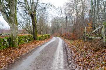 Fototapeta na wymiar Gravel road in an old rural landscape