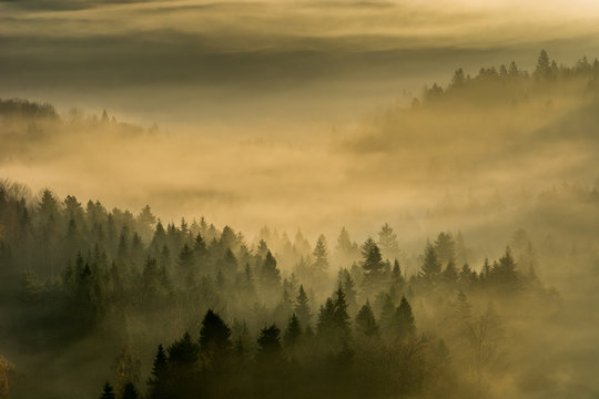 Fototapeta Jesienne mgły w Beskidzie Sądeckim,małopolska.