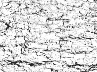 Tree bark halftone texture overlay. Vintage natural wood vector background with cracks