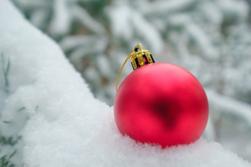 Christmas ball on the branches fir
