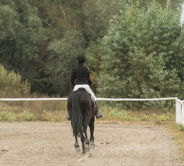 jump over the barrier on a horse
