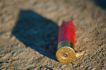 Shotgun cartridge on the ground