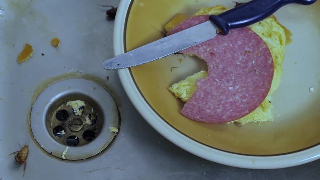 Kakerlaken krabbeln in der Sp&uuml;le einer K&uuml;che mit Geschirr und Wurstbrot, Video mit Audio