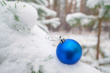 Christmas ball on the branches fir
