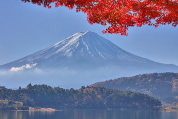 Fototapeta premium 富士山と紅葉