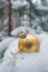 Christmas ball on the branches fir