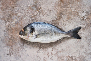 Raw dorado fish on rustic background. Sea bream or dorada fish. Top view, copy space
