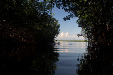 Manglares de Chacahua Parque Nacional Oaxaca © Pablo