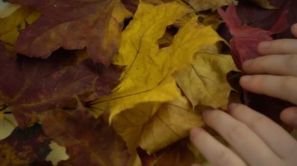 Excavation of old manuscripts in slow motion - Powered by Adobe