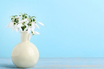 Bouquet of snowdrop flowers in vase on mint background