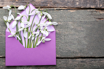 Snowdrop flowers in envelope on grey wooden table