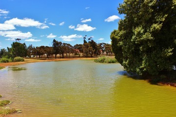 Fototapeta na wymiar lac et reflet de la nature sauvage en Australie