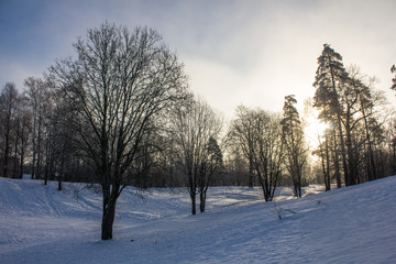 Winter landscape in clear weather. Frosty daylight at sunset
