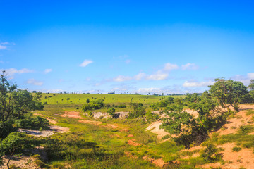 Fototapeta na wymiar Natural landscape with blue sky in Mato Grosso do Sul.