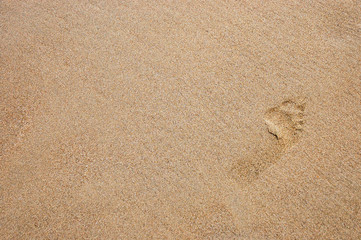 Fototapeta na wymiar Man trail on wet sand