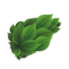 ecology leafs environmental icon