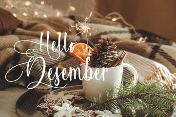 Hello December. Cup with cones and dry orange with sparkler, fir branch, cookies, cozy knitted blanket. Greeting card is ready