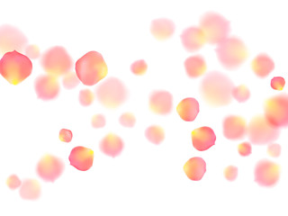 Rose gold petals flying cosmetics vector background.