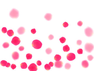 Pink rose petals falling vector valentine background.