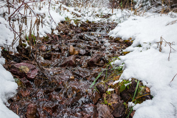 Mountain Streams