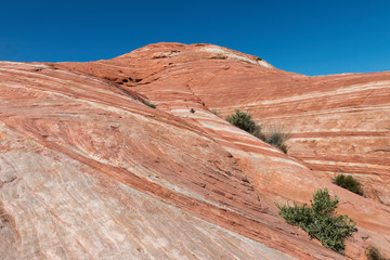 Fire Wave im Valley of Fire