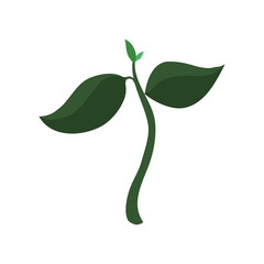 ecology tree plant icon