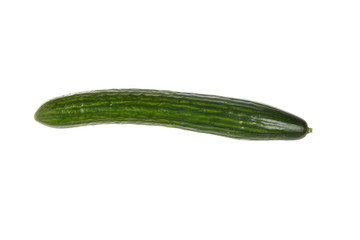 Cucumber