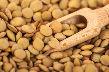 dry lentils on wooden spoon, healthy food