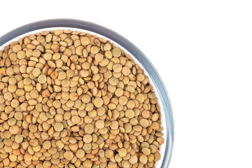 Dry lentil in glass bowl isolated on white background