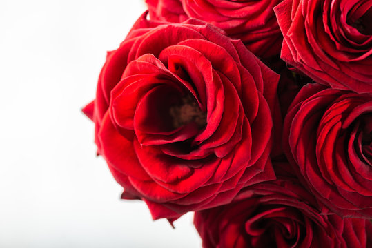 Perfect bouquet of red roses, love and romance concept