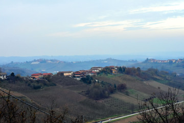 Naklejka premium A typical landscape of the Langhe / Roero