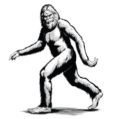Walking Sasquatch vector illustration in black and white