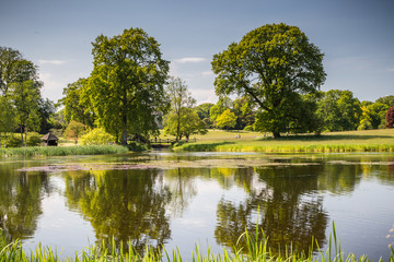 Oak Trees Across Lake